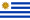 Uruguay Real Teen Cam